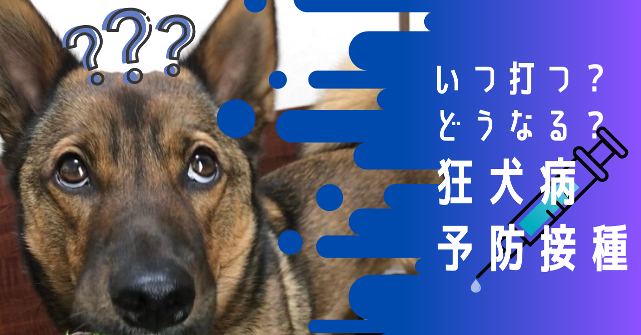 狂犬病 いつまで