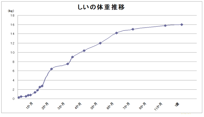 この子はどこまで育つ 中型雑種犬の体重推移１年間 いぬっセイ