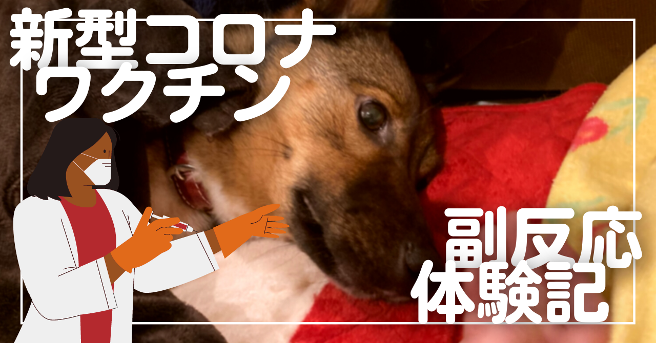 新型コロナワクチン副反応体験記 犬２頭 いぬっセイ